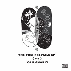 Same Light Interlude (prod. Pocket Picasso & Brian Folk)