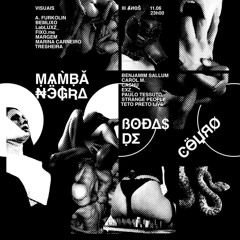 CASHU // MAMBA NEGRA 3 ANOS // BODAS DE COURO