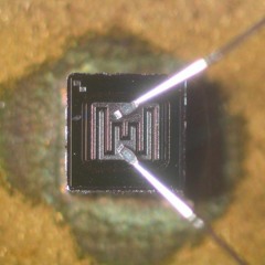 tfw I finally transist