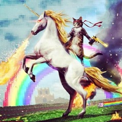 DK HAVOK/S.DUB Heart of Gold (at practice)