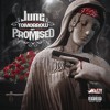 poster of June Expected That song
