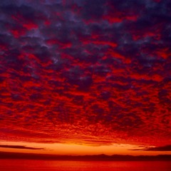 Crimson (Instrumental) - Dan Can Make Beats