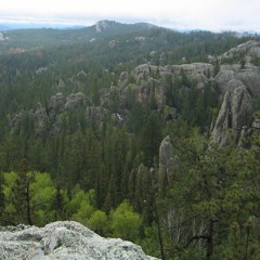 Trippin on my ego trip