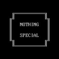 Nothing Special