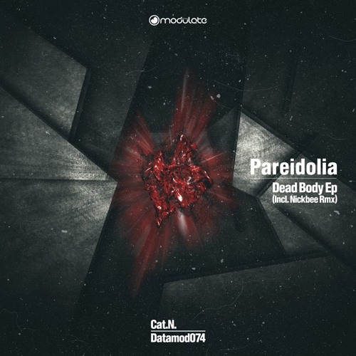 Pareidolia - Dead Body (Nickbee Rmx) - Datamod074