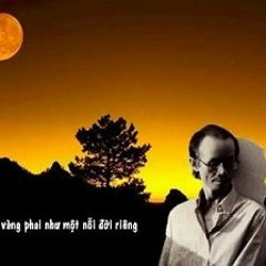 Toi oi dung tuyet vong