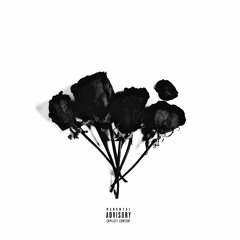 CONCRETE BLOSSOMS+ (demo)