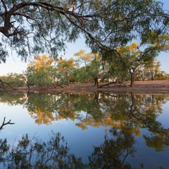 Sunrise by a Billabong - Outback Queensland, Australia