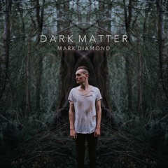 Dark Matter