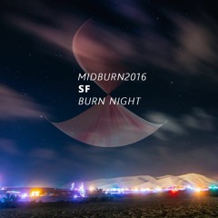 Midburn 2016 - SF - Burn night