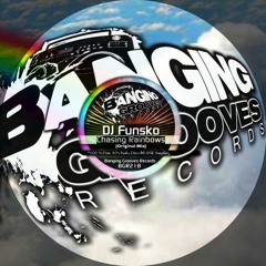 BGR218-DJ Funsko-Chasing Rainbows-(Original Mix) - BUY NOW @ traxsource / beatport
