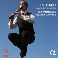 BACH // Sonata No. 5 in C Major, BWV 529: II. Largo (Transcription for Recorder and Harpischord)