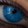 лечении зайцев нет твои глаза на звонок меня история зайцев нет твои глаза на звонок зоопарк открылся году