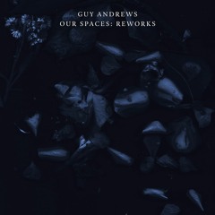 Premiere: Guy Andrews - In Autumn Arms (Max Cooper Remix)