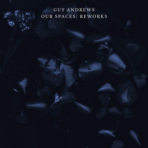 Premiere: Guy Andrews - In Autumn Arms (Max Cooper Remix)
