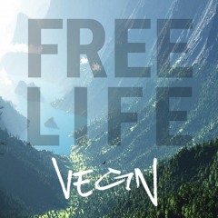 Free Life (Original Mix)