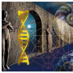 2013  שבירת מוטות