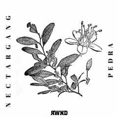 Nectar Gang - Pedra (Cybass Extended Remix)