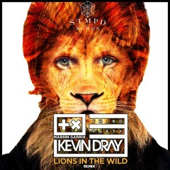 Martin Garrix & Third Party - Lions In The Wild (Kevin Dray Remix)