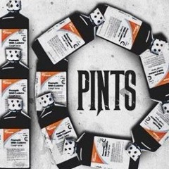 PINTS