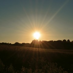 Poster Boy (Instrumental)