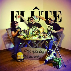 2016 - FLÛTE Bienvenue À L'UMP