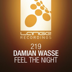 Damian Wasse - Feel This Night (Original Mix)