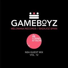 NSA Guest Mix Vol 12. Gameboyz