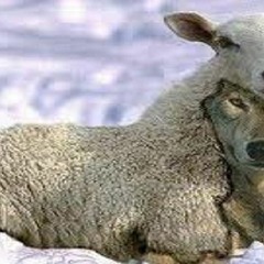 Lies For Miles - Mastered by Joytime Records