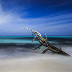 *** FREE DL *** MIX Nu-Disco / House 2k16