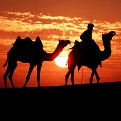 Soltan Hajibeyov - Karvan