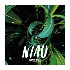 Niau - Time Lapse(Original Mix)