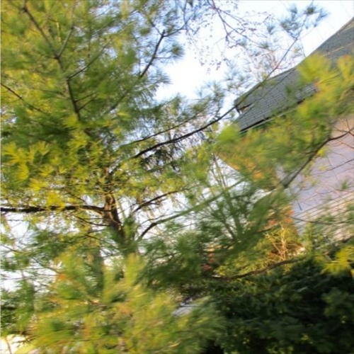 ertise w/ evryn & seng°