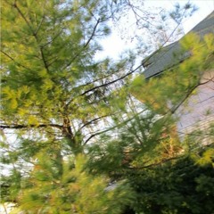 same thing every time