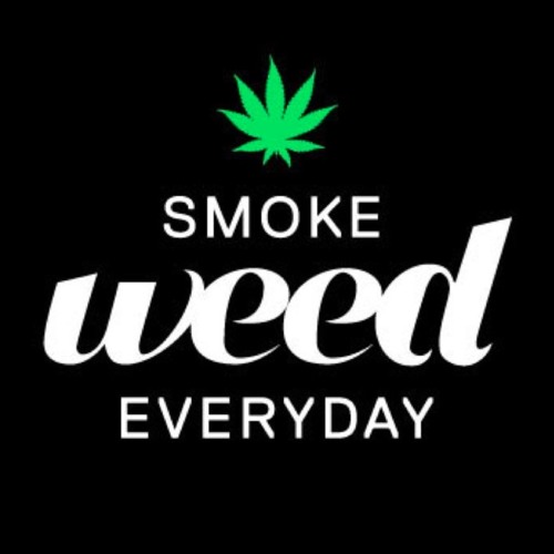 Stream Smoke Weed Everyday (Download link in comments) by DJ Candyman |  Listen online for free on SoundCloud