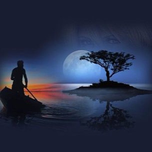 Still Searching