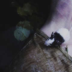 Ethereal (very demo)