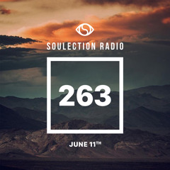 Soulection Radio Show #263