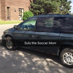 Sulu The Soccer Mom - Houndhouse