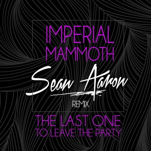 Imperial Mammoth - The Last One to leave the Party - Sean Aaron Remix