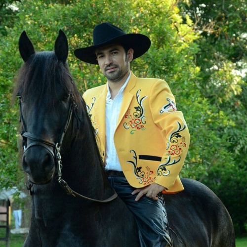 Stream WILMAR ARIZA COMO PODER OLVIDARTE by Wilmar Ariza | Listen online for  free on SoundCloud