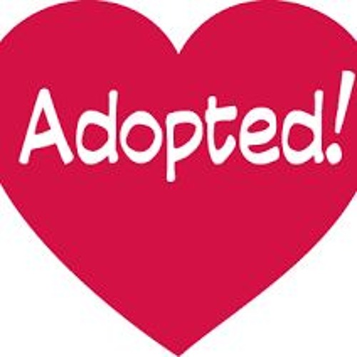 Which is adopted in. Adopted.