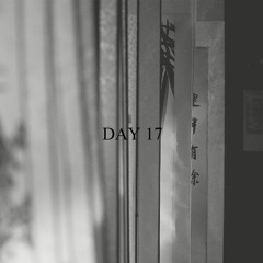 Day 17 - Pinecones