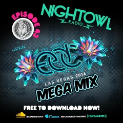 Night Owl Radio 043 ft. EDC Las Vegas 2016 Mega-Mix