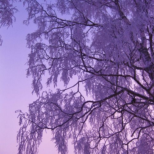 forget it all (prod. killer mantis)