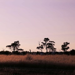 So Beautiful - Pete Murray (Acoustic Cover) Jordan King