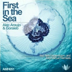 Alec Araujo & Goraieb - First In The Sea [I Must Have]