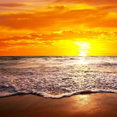 Nightlprecords - Artists