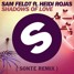 Shadows Of Love (Sonte Remix)