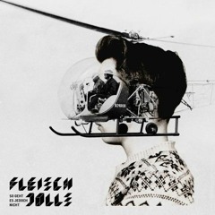 The Toten Crackhuren im Kofferraum - Katzenfleisch Remix